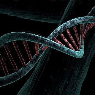 Estem preparats per viure més del que ens pertoca biològicament?
